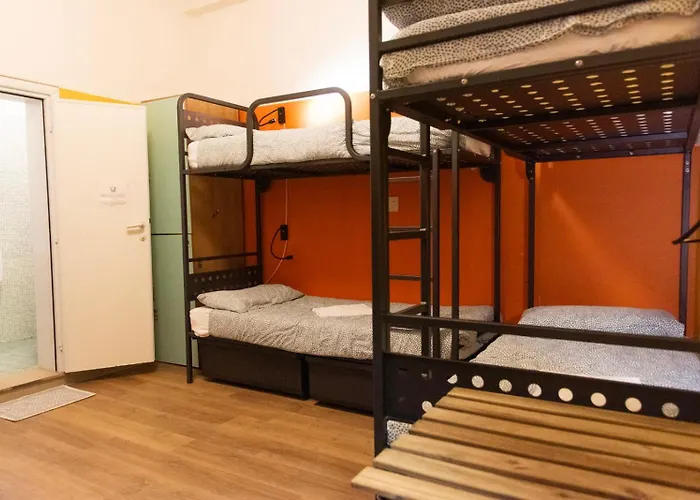 Sunflower Backpacker & Bar Hostel *