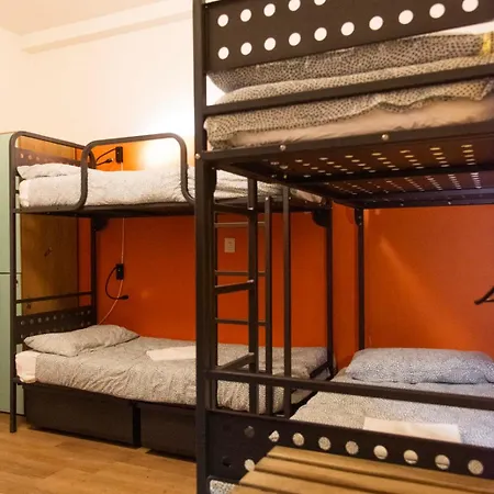 Sunflower Backpacker & Bar אכסניה