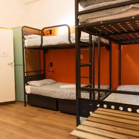 Sunflower Backpacker & Bar Hostel *