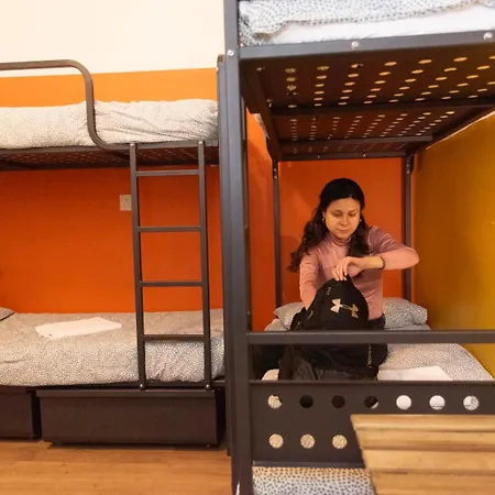 Sunflower Backpacker & Bar *