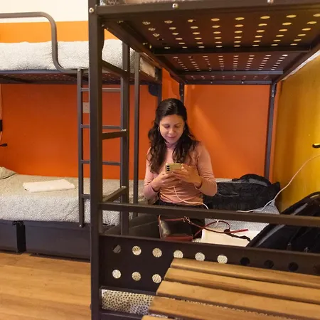 Sunflower Backpacker & Bar אכסניה