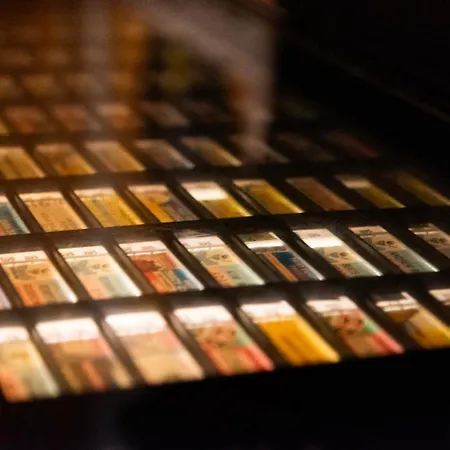 Sunflower Backpacker & Bar *