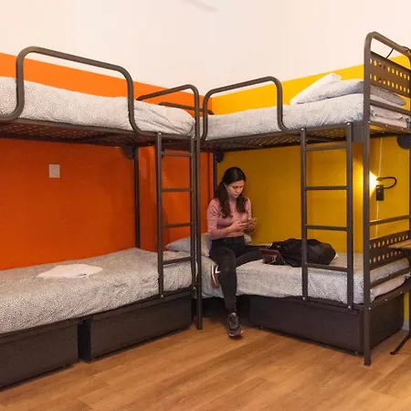 Sunflower Backpacker & Bar אכסניה