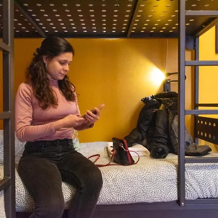 Sunflower Backpacker & Bar *