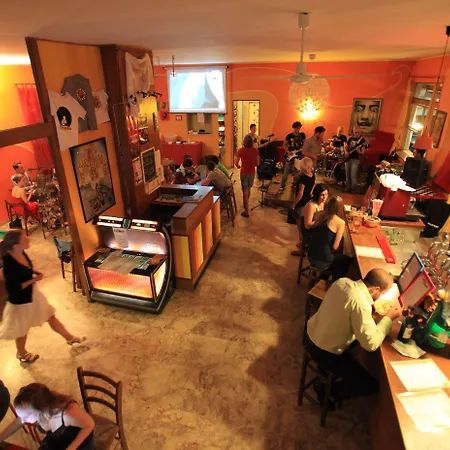 Sunflower Backpacker & Bar אכסניה