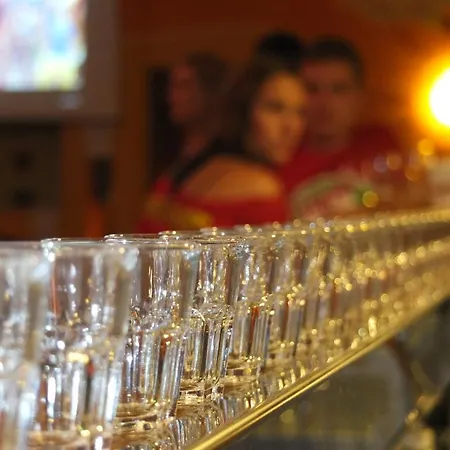 Sunflower Backpacker & Bar אכסניה *