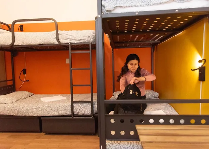 Sunflower Backpacker *