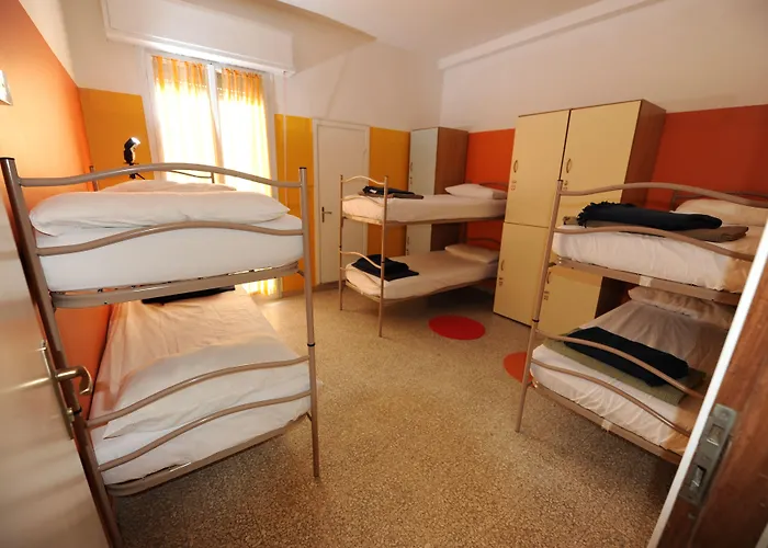 Sunflower Backpacker *