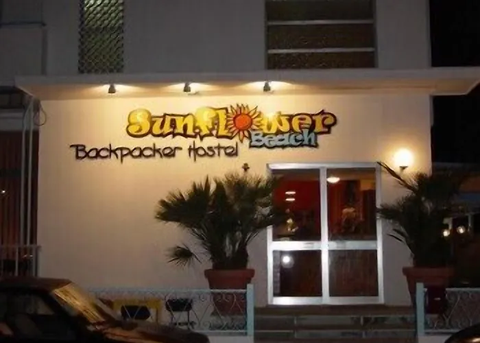 Hostel Sunflower Backpacker & Bar *