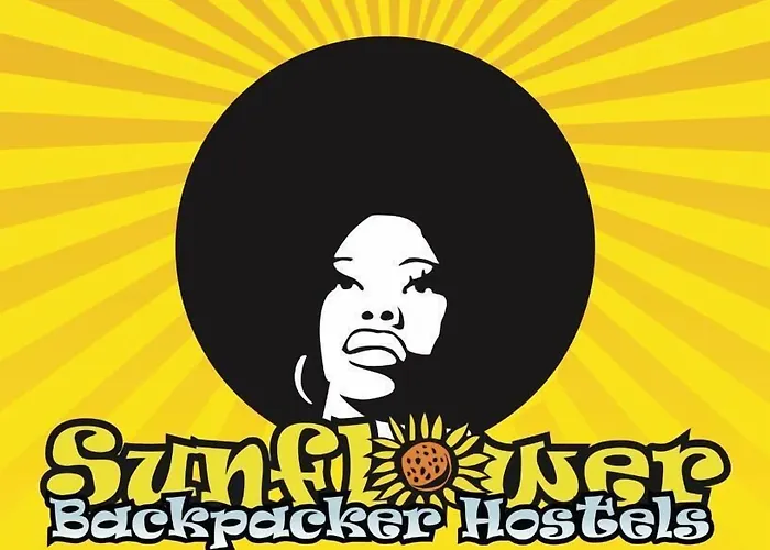 旅馆 Sunflower Backpacker & Bar