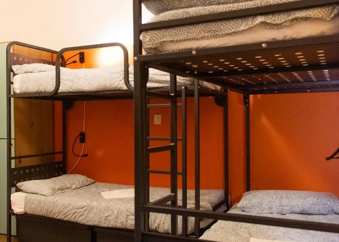 Sunflower Backpacker & Bar بيت شباب