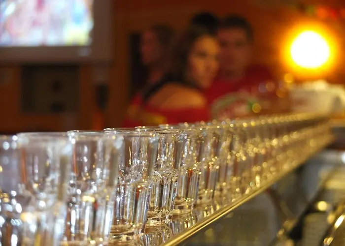 Sunflower Backpacker & Bar بيت شباب *